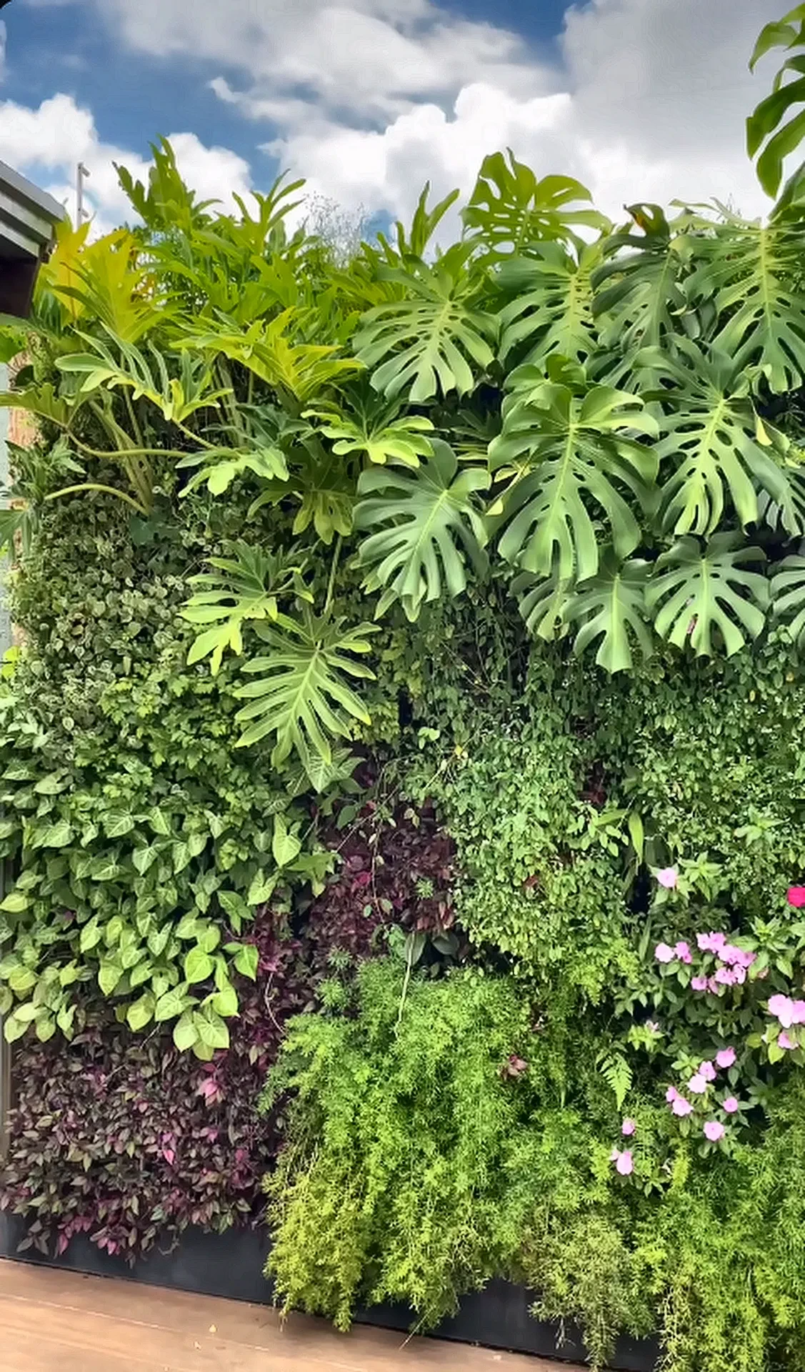 Jardim vertical com costelas-de-adão e folhagens tropicais em camadas